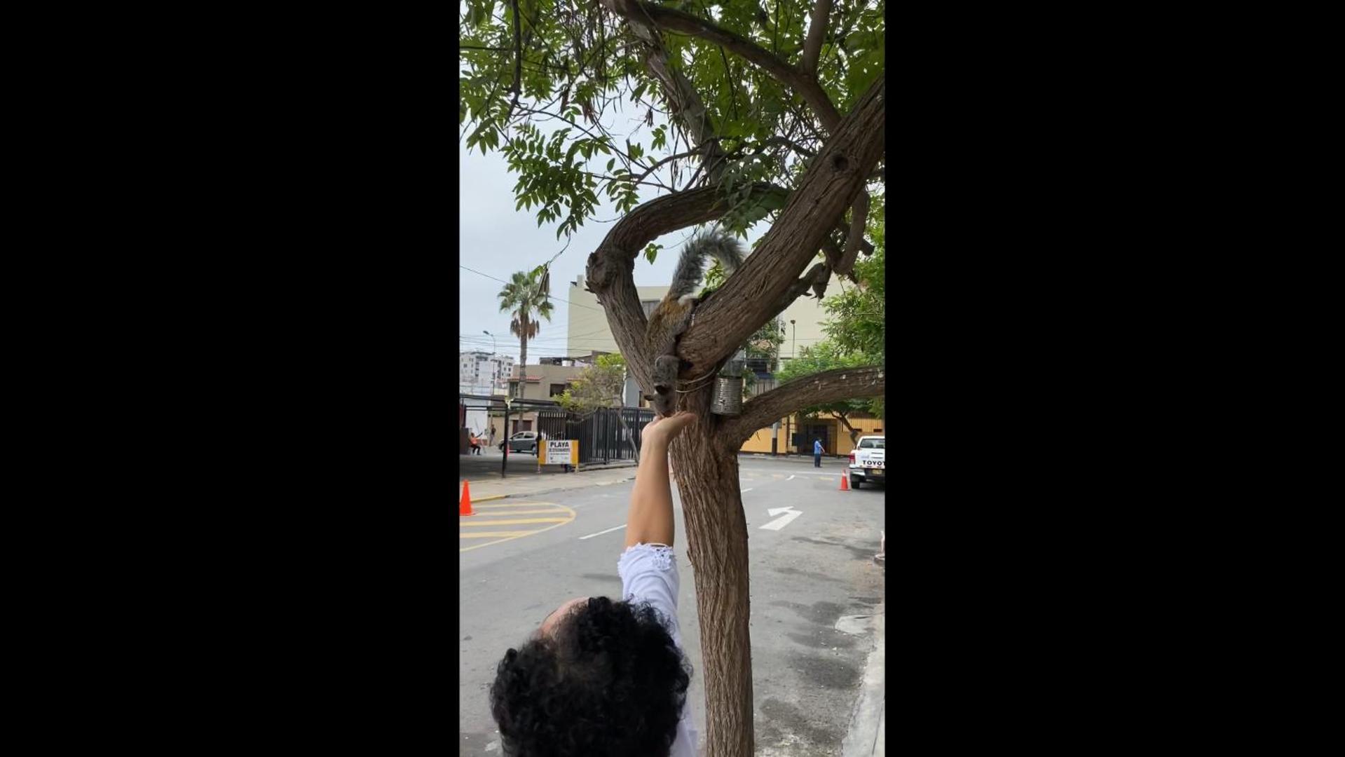 Miraflores Centre Λίμα Εξωτερικό φωτογραφία